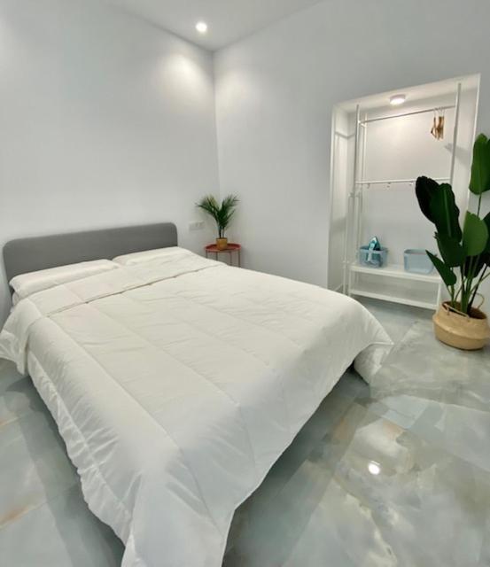 Apartamento Isasa Córdoba Exteriér fotografie